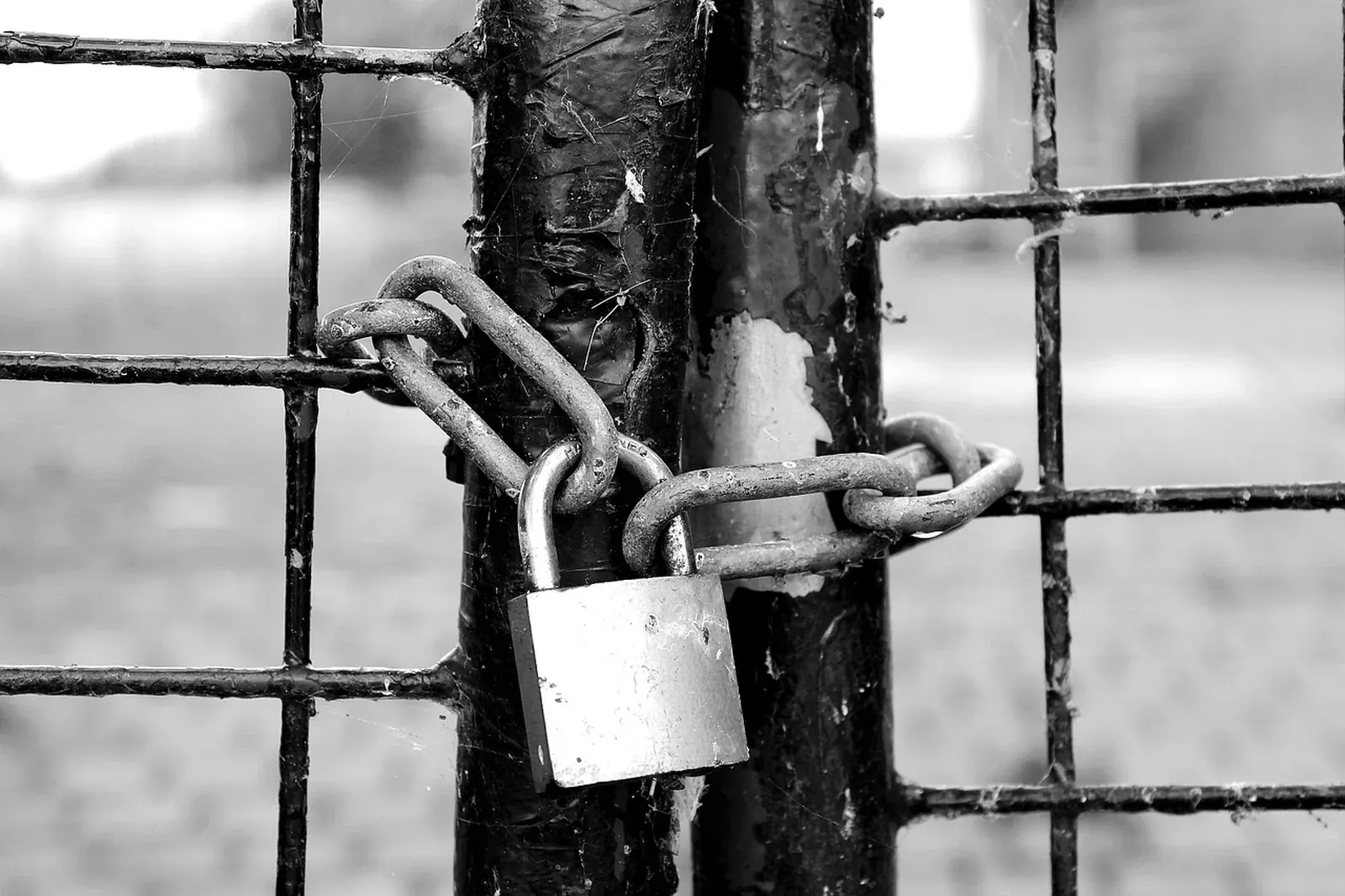 Black and white photo of a padlock and heavy chain securing a wire mesh metal gate